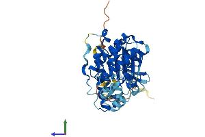 AlphaFold protein structure predicition of Mouse Recombinant Mapk12 Protein, UniprotID O08911