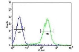 SMAD6 antibody flow cytometric analysis of HepG2 cells (right histogram) compared to a negative control (left histogram). (SMAD6 anticorps  (AA 358-386))