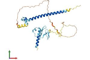 AlphaFold protein structure predicition of Mouse Recombinant Cdca8 Protein, UniprotID Q8BHX3