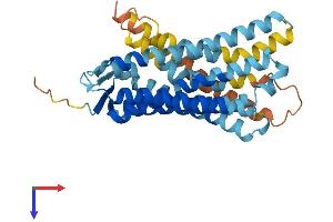 Olfactory Receptor, Family 1, Subfamily E, Member 3 (OR1E3) (AA 1-343) protein (His tag)