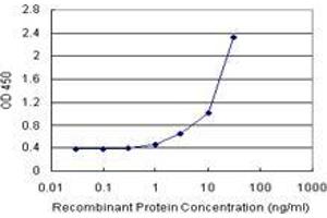 Sandwich ELISA detection sensitivity ranging from 1 ng/mL to 100 ng/mL. (NEIL2 (Humain) Matched Antibody Pair)