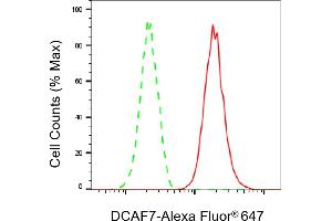 Flow cytometric analysis of DCAF7 expression in HAP-1 cells using DCAF7 antibody (ABIN7798282), 1:2,000).