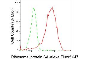 Flow cytometric analysis of Ribosomal protein SA expression in HepG2 cells using Ribosomal protein SA antibody (ABIN7800237), 1:2,000).