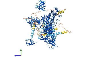 AlphaFold protein structure predicition of Mouse Recombinant Mib1 Protein, UniprotID Q80SY4