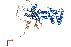 AlphaFold protein structure predicition of Human Recombinant SNX21 Protein, UniprotID Q969T3