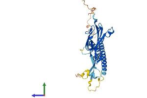 AlphaFold protein structure predicition of Human Recombinant FNDC11 Protein, UniprotID Q9BVV2