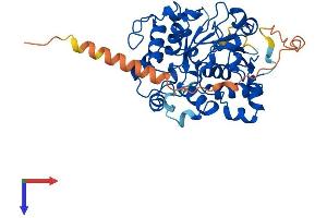 AlphaFold protein structure predicition of Human Recombinant ST6GALNAC2 Protein, UniprotID Q9UJ37