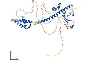 AlphaFold protein structure predicition of Human Recombinant TFDP3 Protein, UniprotID Q5H9I0