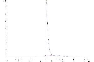 The purity of Human CD229 is greater than 95 % as determined by SEC-HPLC.
