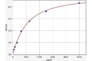 Typical standard curve (CSNK2A2 Kit ELISA)