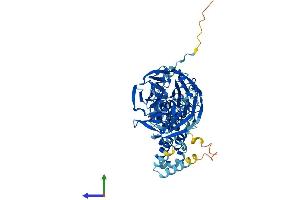 AlphaFold protein structure predicition of Human Recombinant IPP Protein, UniprotID Q9Y573