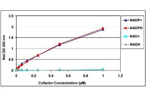NADP+ Standard Curve and Specificity of Assay for NADP+ and NADPH. (NADP+/NADPH Assay Kit)