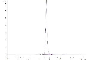 The purity of Cynomolgus PD-1 is greater than 95 % as determined by SEC-HPLC.