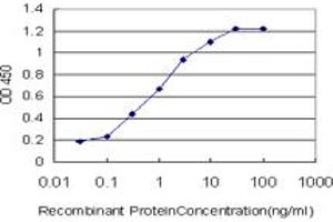 Detection limit for recombinant GST tagged CACNB2 is approximately 0.