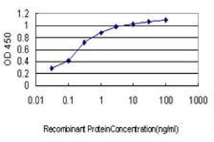 Detection limit for recombinant GST tagged LTBP2 is approximately 0. (LTBP2 anticorps  (AA 1709-1818))