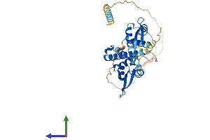 AlphaFold protein structure predicition of Mouse Recombinant Mageb18 Protein, UniprotID Q8BQR7