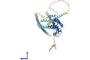 AlphaFold protein structure predicition of Human Recombinant SPATA18 Protein, UniprotID Q8TC71