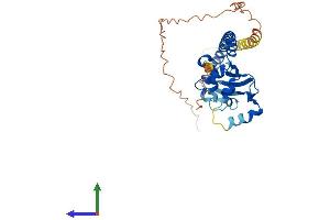 AlphaFold protein structure predicition of Human Recombinant TSPY4 Protein, UniprotID P0CV99