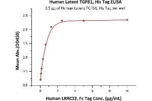 Immobilized Human Latent TGFB1, His Tag (ABIN4949126,ABIN4949127) at 5 μg/mL (100 μL/well) can bind Human LRRC32, Fc Tag (ABIN5674638,ABIN6809961) with a linear range of 0. (TGFB1 Protein (AA 30-390) (His tag))