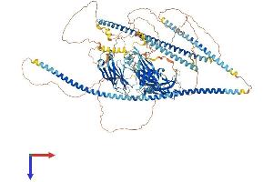 AlphaFold protein structure predicition of Human Recombinant RPGRIP1 Protein, UniprotID Q96KN7