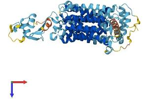AlphaFold protein structure predicition of Mouse Recombinant Slc22a3 Protein, UniprotID Q9WTW5