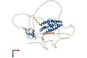 AlphaFold protein structure predicition of Mouse Recombinant Nr4a2 Protein, UniprotID Q06219