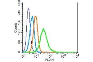 Human U937 cells probed with IL-2R gamma Polyclonal Antibody, Unconjugated  (green) at 1:100 for 30 minutes followed by a PE conjugated secondary antibody compared to unstained cells (blue), secondary only (light blue), and isotype control (orange).