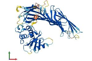 AlphaFold protein structure predicition of Mouse Recombinant Ap4m1 Protein, UniprotID Q9JKC7