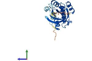 AlphaFold protein structure predicition of Mouse Recombinant Rab4a Protein, UniprotID P56371