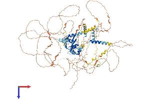 AlphaFold protein structure predicition of Mouse Recombinant Mis18bp1 Protein, UniprotID Q80WQ8
