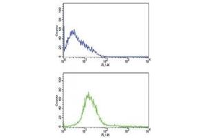 CD31 antibody flow cytometric analysis of HL-60 cells (bottom histogram) compared to a negative control cell (top histogram).