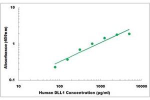 Representative Standard Curve (DLL1 Kit ELISA)