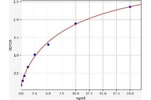 Typical standard curve (STAT4 Kit ELISA)