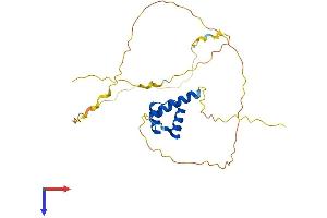 AlphaFold protein structure predicition of Human Recombinant MEOX1 Protein, UniprotID P50221