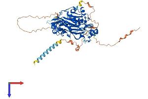 AlphaFold protein structure predicition of Human Recombinant MGAT3 Protein, UniprotID Q09327