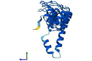 AlphaFold protein structure predicition of Human Recombinant ANKRD22 Protein, UniprotID Q5VYY1