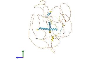 AlphaFold protein structure predicition of Mouse Recombinant Mtdh Protein, UniprotID Q80WJ7
