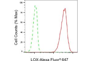 Flow cytometric analysis of LOX expression in HT- cells using LOX antibody (ABIN7799311), 1:2,000). (Recombinant LOX anticorps)