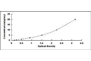 Typical standard curve (OSCAR Kit ELISA)