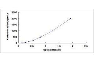 ELISA image for Tumor Necrosis Factor (Ligand) Superfamily, Member 12 (TNFSF12) ELISA Kit (ABIN416545)