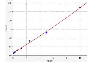 Typical standard curve (PNKD Kit ELISA)