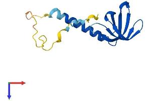 AlphaFold protein structure predicition of Mouse Recombinant Gemin7 Protein, UniprotID Q9CWY4