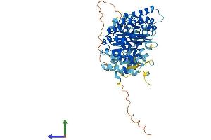 AlphaFold protein structure predicition of Human Recombinant PRAME Protein, UniprotID P78395
