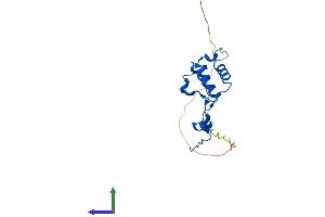 AlphaFold protein structure predicition of Mouse Recombinant Mrpl50 Protein, UniprotID Q8VDT9
