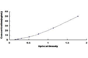 Typical Standard Curve (MAT1A Kit ELISA)