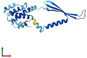 AlphaFold protein structure predicition of Human Recombinant COMMD2 Protein, UniprotID Q86X83