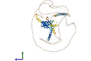 AlphaFold protein structure predicition of Human Recombinant ACBD5 Protein, UniprotID Q5T8D3