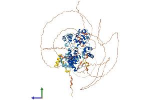AlphaFold protein structure predicition of Mouse Recombinant Ttf1 Protein, UniprotID Q62187