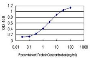 Detection limit for recombinant GST tagged GSTO1 is approximately 0. (GSTO1 anticorps  (AA 121-209))