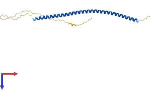 AlphaFold protein structure predicition of Human Recombinant MCEMP1 Protein, UniprotID Q8IX19